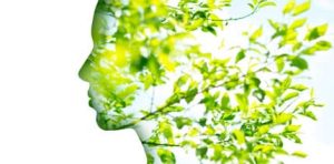 using IoT for environmental sustainability